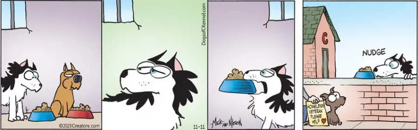 Dogs of C-Kennel for Nov 11, 2023