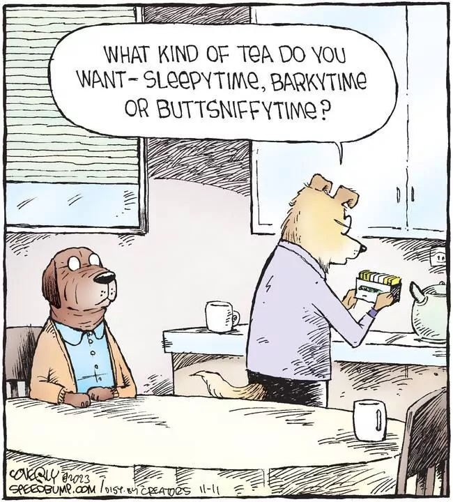 Speed Bump for Nov 11, 2023