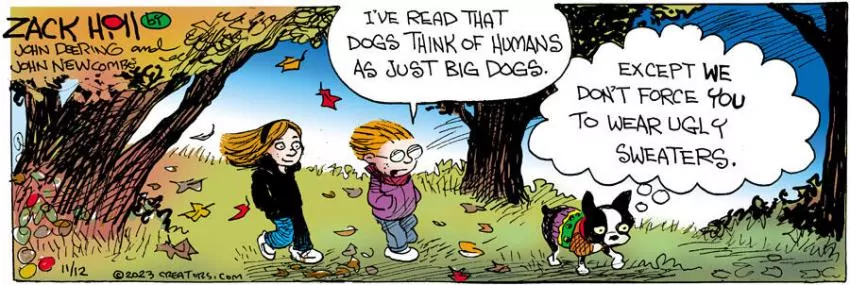 Zack Hill for Nov 12, 2023