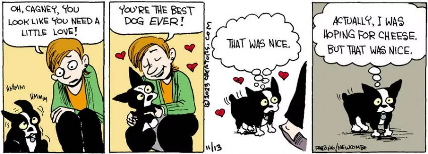 Zack Hill for Nov 13, 2023