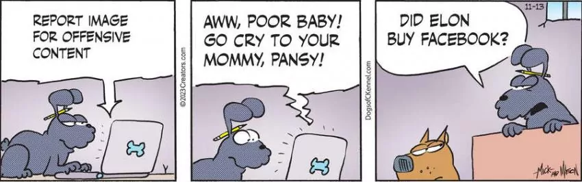 Dogs of C-Kennel for Nov 13, 2023