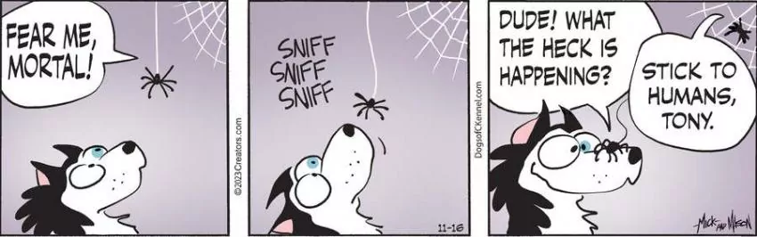 Dogs of C-Kennel for Nov 16, 2023