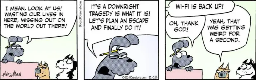 Dogs of C-Kennel for Nov 18, 2024