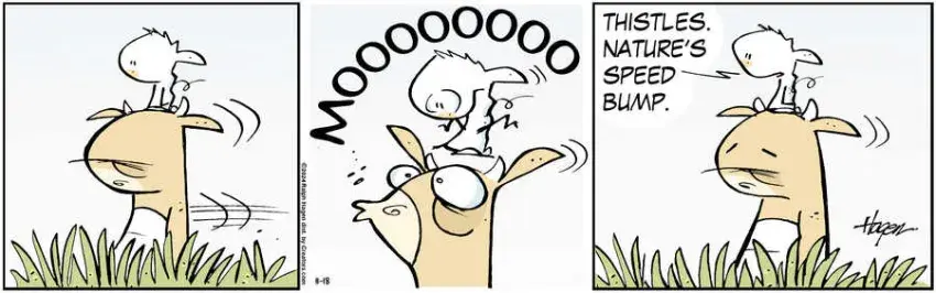 The Barn for Nov 18, 2024