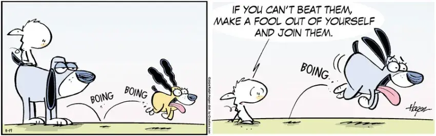 The Barn for Nov 19, 2024