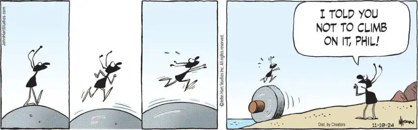 B.C. for Nov 19, 2024