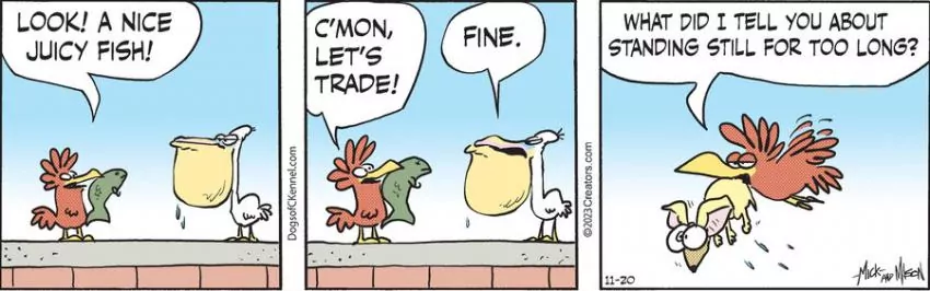 Dogs of C-Kennel for Nov 20, 2023