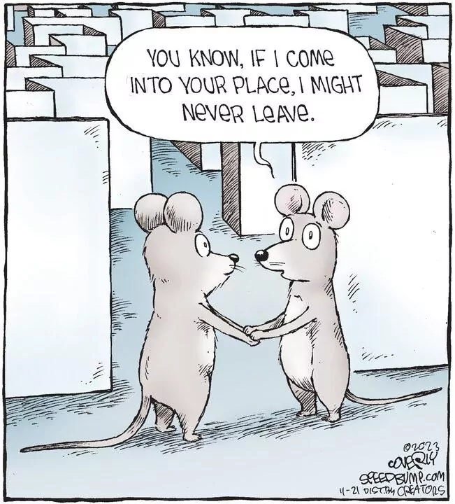 Speed Bump for Nov 21, 2023