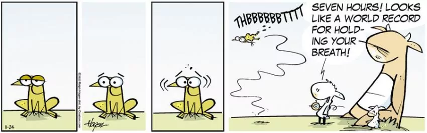 The Barn for Nov 24, 2023