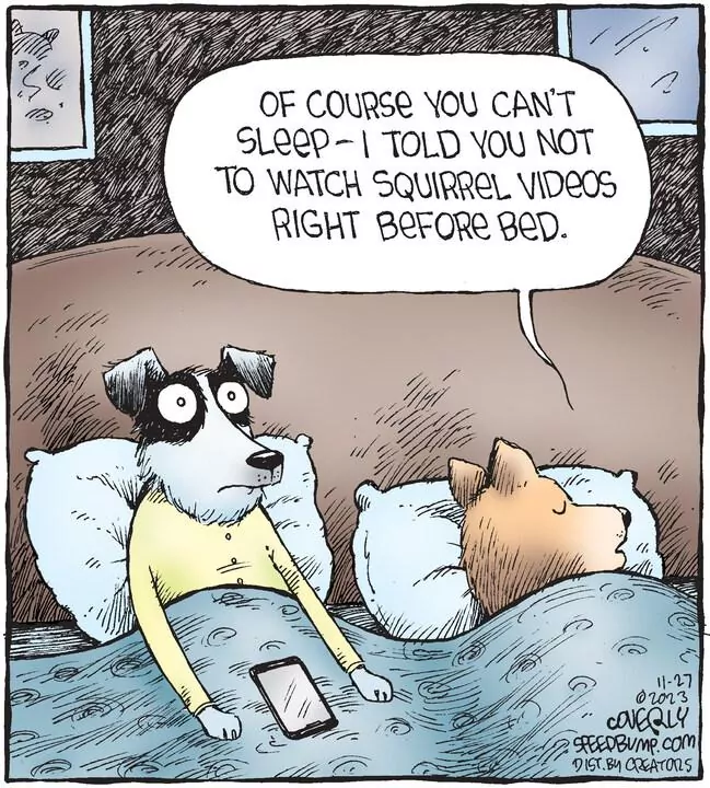 Speed Bump for Nov 27, 2023