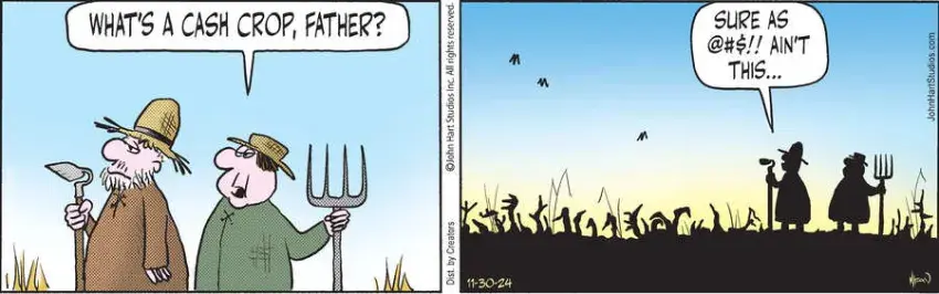 Wizard of Id for Nov 30, 2024