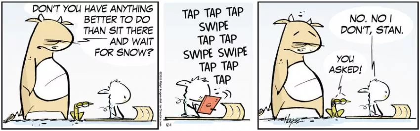 The Barn for Dec 01, 2023