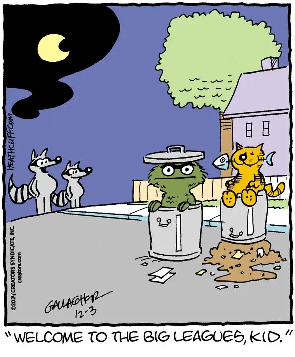 Heathcliff for Dec 03, 2024