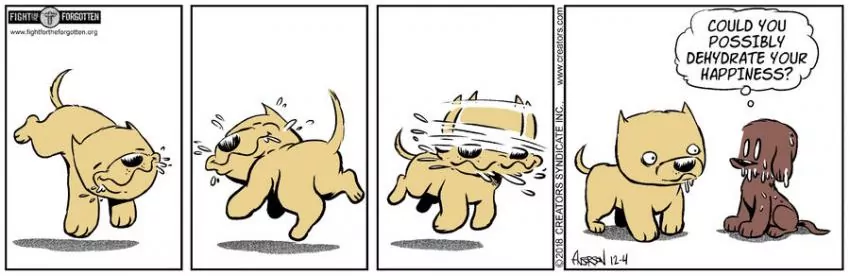 Dog Eat Doug for Dec 04, 2023