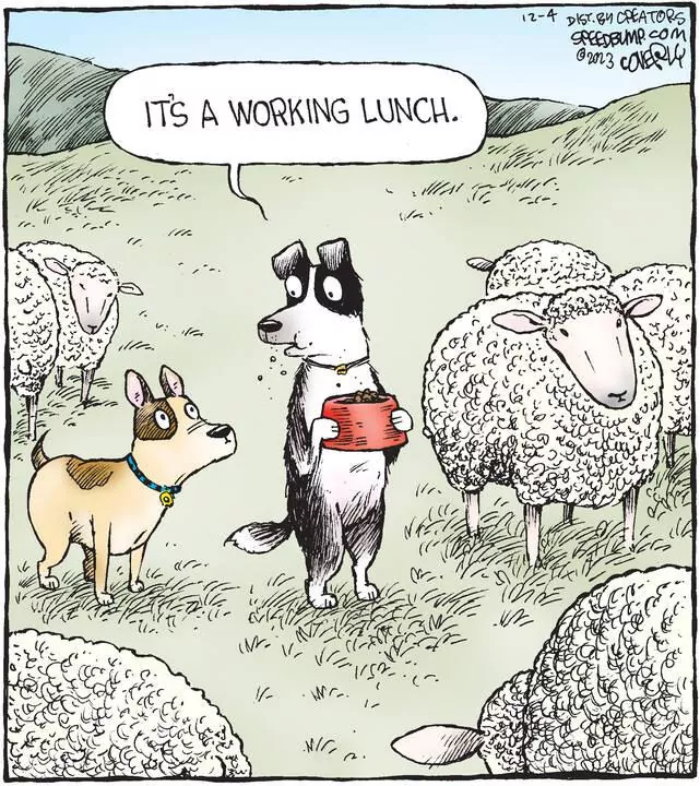 Speed Bump for Dec 04, 2023