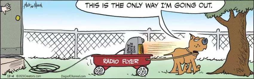 Dogs of C-Kennel for Dec 04, 2023