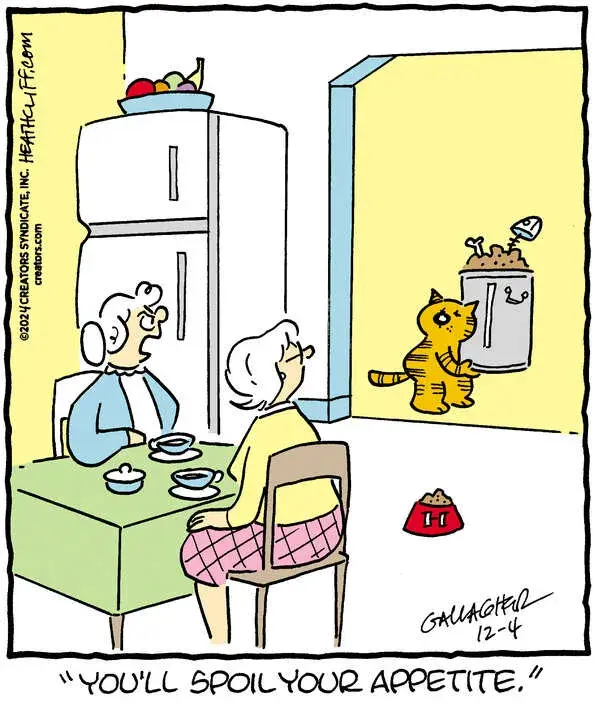 Heathcliff for Dec 04, 2024