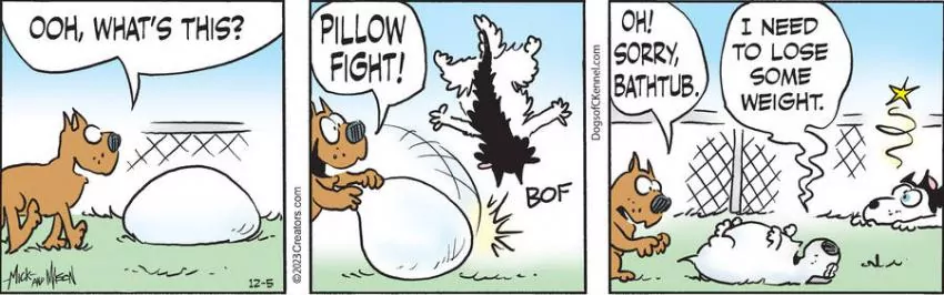 Dogs of C-Kennel for Dec 05, 2023