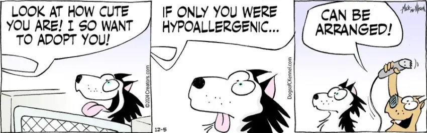 Dogs of C-Kennel for Dec 05, 2024