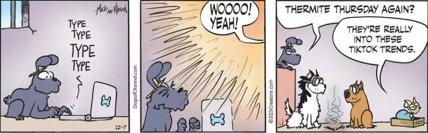 Dogs of C-Kennel for Dec 07, 2023