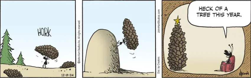 B.C. for Dec 09, 2024