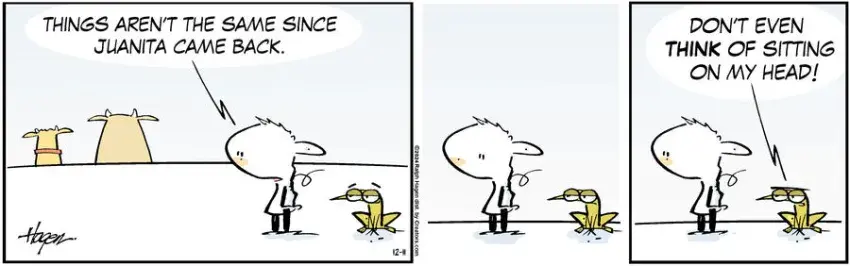 The Barn for Dec 11, 2024