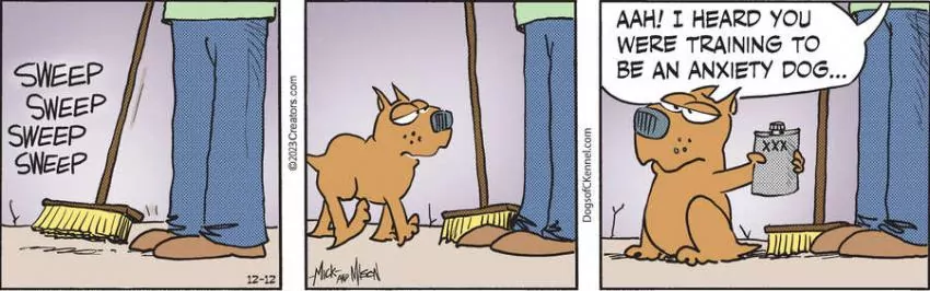 Dogs of C-Kennel for Dec 12, 2023