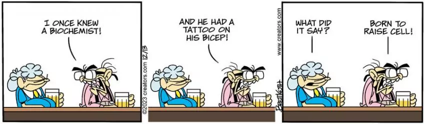 Diamond Lil for Dec 13, 2023