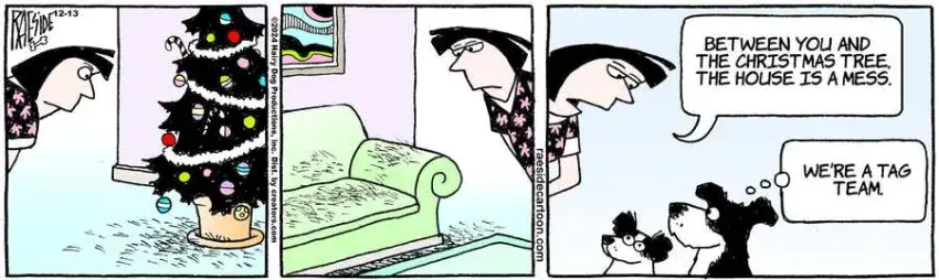 The Other Coast for Dec 13, 2024