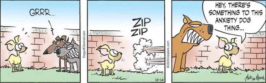 Dogs of C-Kennel for Dec 14, 2023