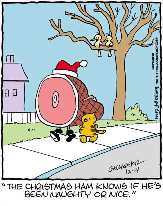 Heathcliff for Dec 14, 2024