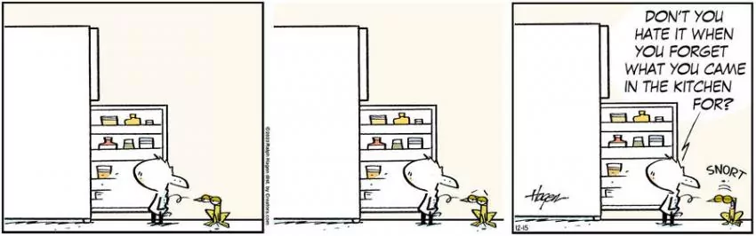 The Barn for Dec 15, 2023