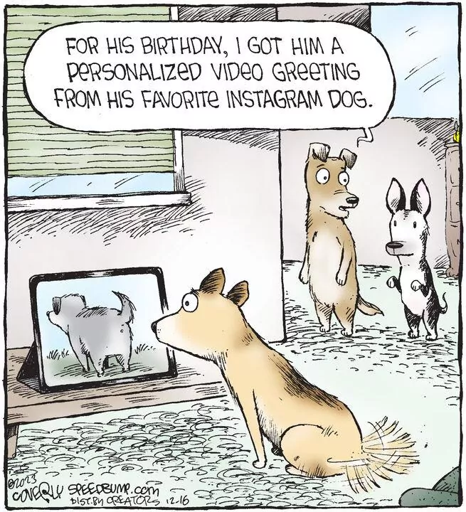 Speed Bump for Dec 16, 2023