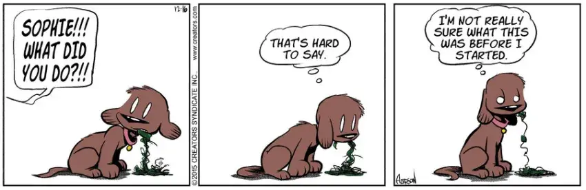 Dog Eat Doug for Dec 16, 2024