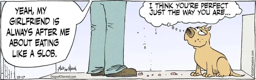 Dogs of C-Kennel for Dec 17, 2024