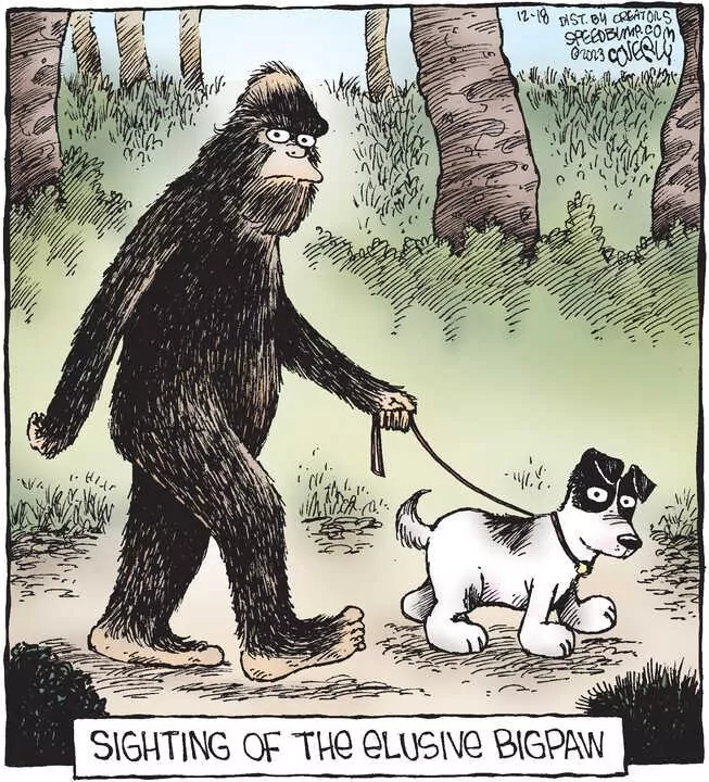 Speed Bump for Dec 18, 2023