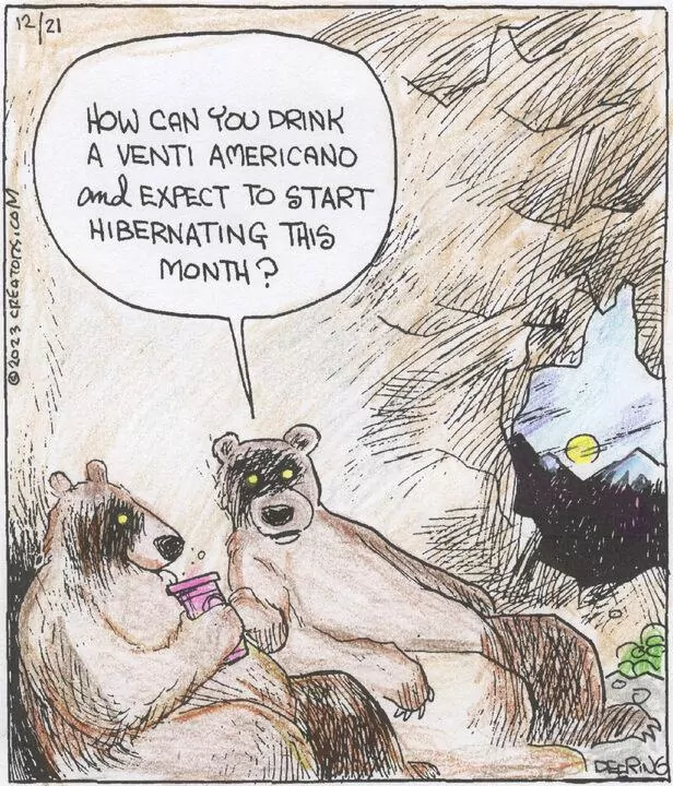 Strange Brew for Dec 21, 2023