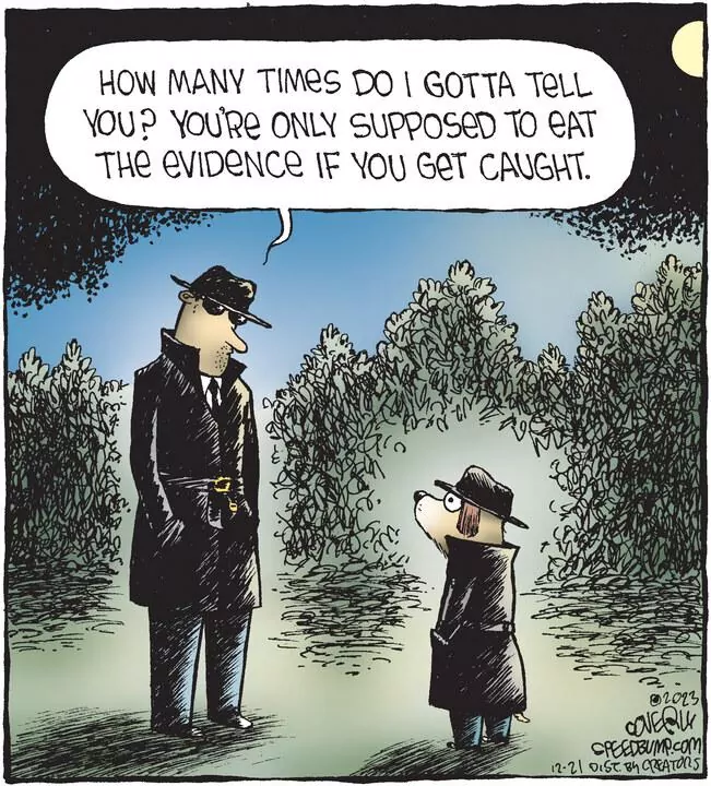 Speed Bump for Dec 21, 2023