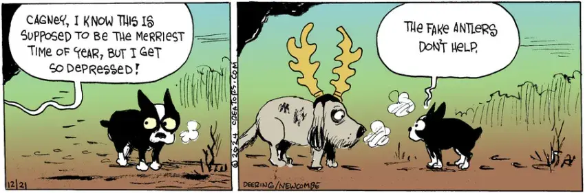 Zack Hill for Dec 21, 2024