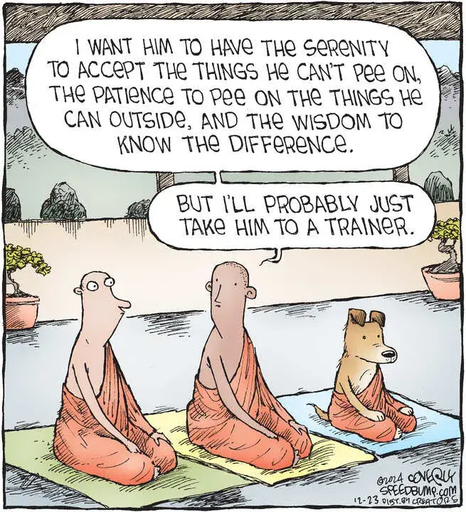 Speed Bump for Dec 23, 2024