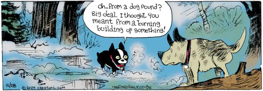 Zack Hill for Dec 28, 2024