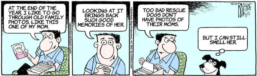 The Other Coast for Dec 31, 2024