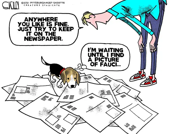 Steve Kelley for Oct 29, 2021