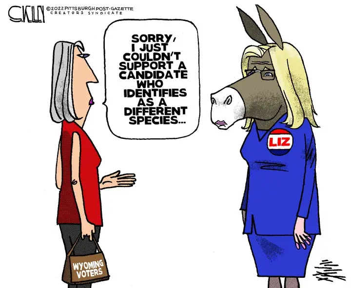 Steve Kelley for Aug 18, 2022